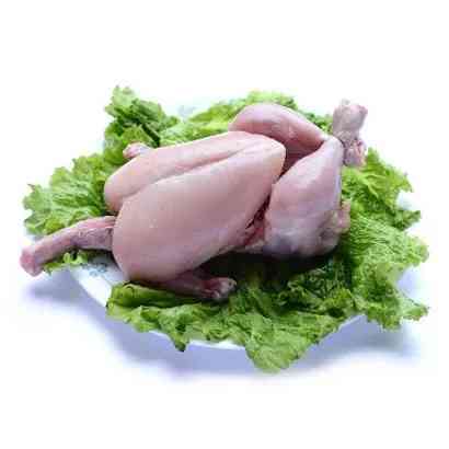 Broiler Chicken Skinless Raw Meat